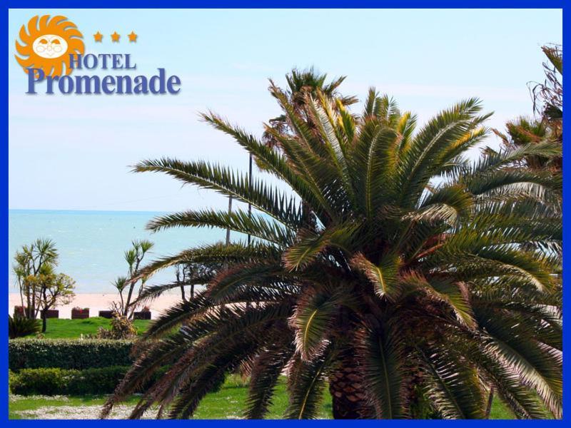 Hotel Promenade Porto SantʼElpidio Exteriér fotografie